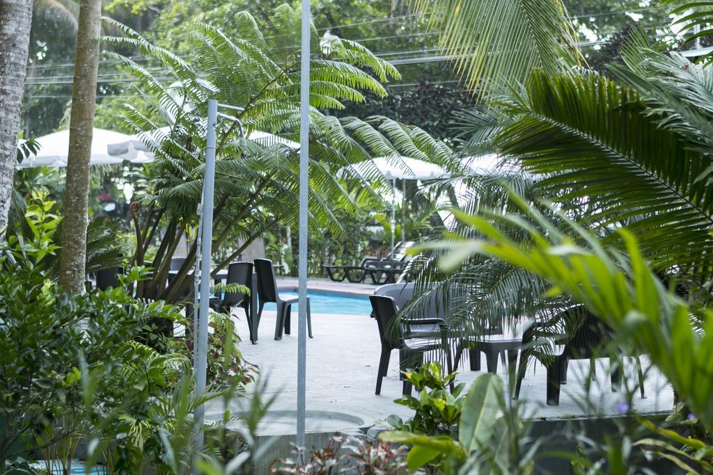Hotel La Isla Inn Puerto Viejo de Talamanca Eksteriør billede